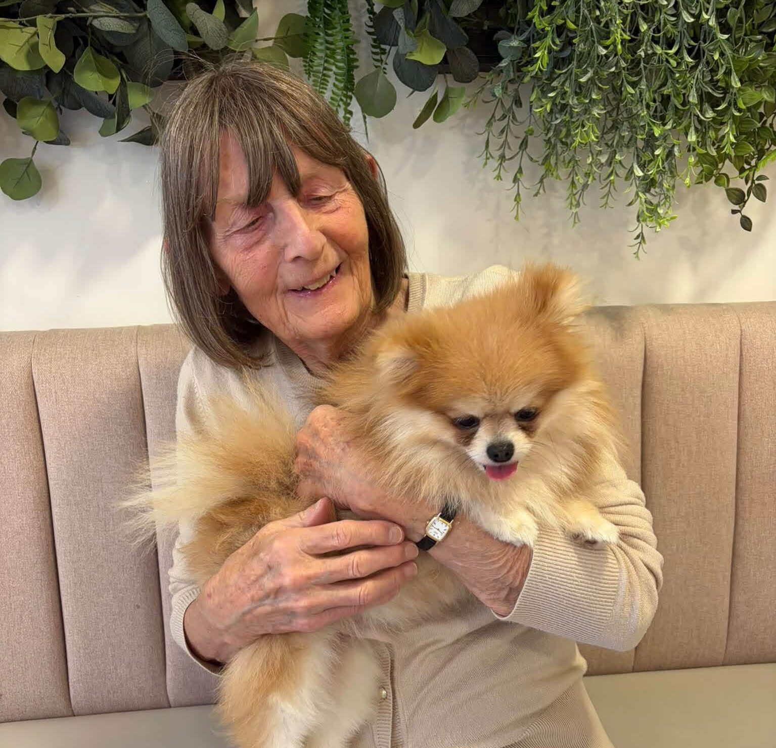 Kingsclere Court Care Home puppy visit